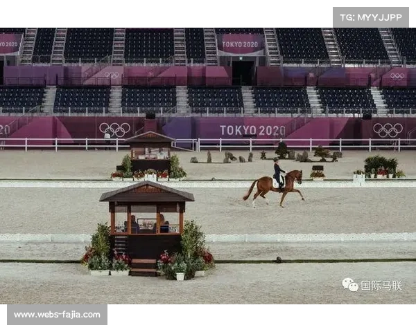 FEI盛装舞步欧洲锦标赛自由演绎大奖赛精彩瞬间回顾与精彩亮点展现